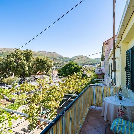 Apartments Lidija Затон Экстерьер фото
